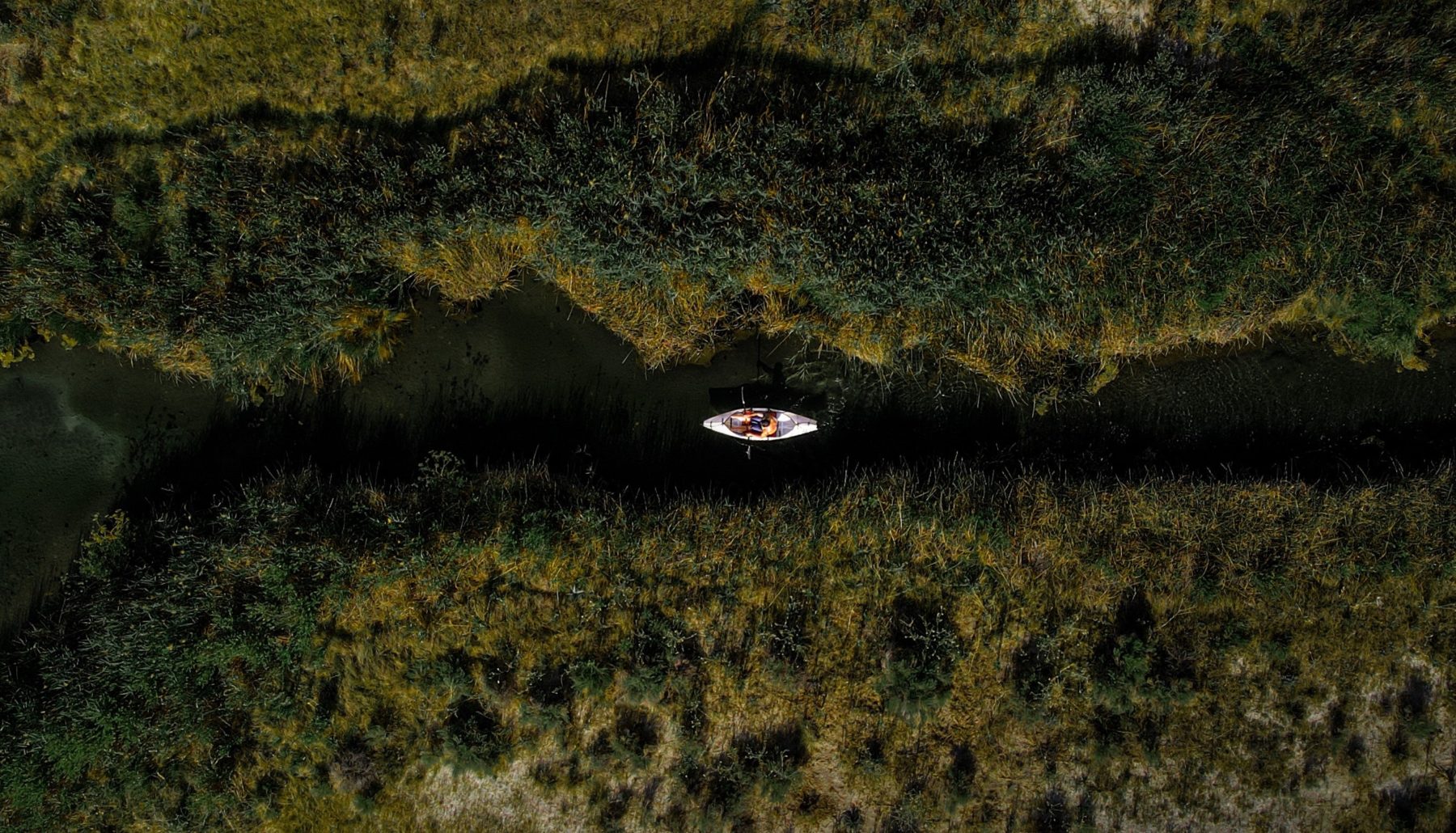 Do what you love illustrated by a man canoeing